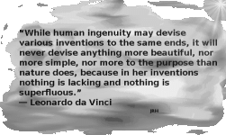 DaVinci-06.gif