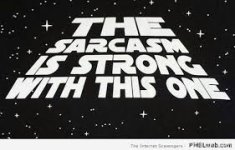 sarcasm is strong.jpg