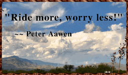 PeterAawen-01.gif