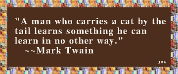 MarkTwain-07.gif