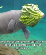 image_83D218E6-F5AB-4979-8A54-070F20A702EB.jpeg