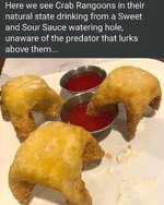 rangoons.jpg