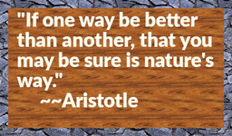 Aristotle-10.gif