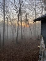 IMG_8285.JPG