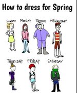 Spring.jpeg