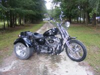 01springer-rocker -1.JPG