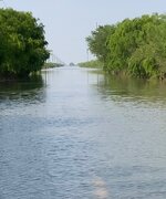 IMG_0493.jpeg