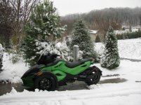 Snow and leaves 2.jpg