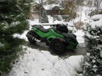 Snow and leaves 3.jpg