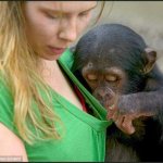 Monkey Business.jpg