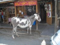 DSCN1084.jpg