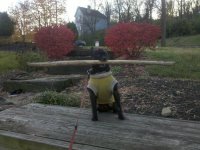 IMG_20121114_160252.jpg