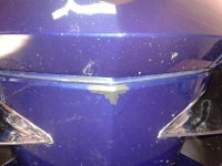 20121109_093954.jpg