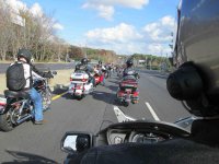 IMG_0020a.jpg
