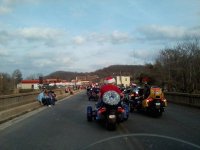Spyders on parade.jpg Spyders on parade.jpg