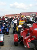 Spyders 1.jpg Spyders 1.jpg