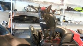 20121209_123852.jpg