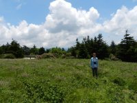 RoanMtn2012 (14).jpg