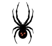 SPYDER logo Black spider 1.jpg