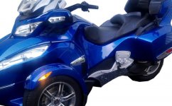 blue-spyder-1200.jpg
