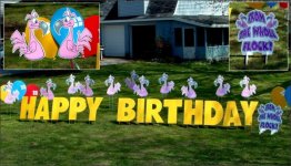 happy_birthday_yard_greeting_lawn_card_flamingos_pink_signs_rental.jpg