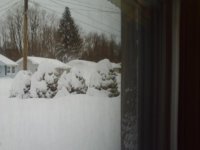 snow 004.jpg