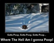 Poop.jpg