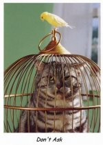 birdcage.jpg