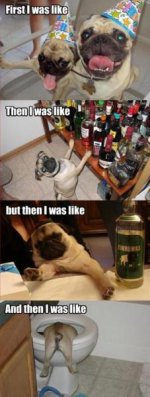 Pug Party.jpg