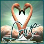 love2.jpg