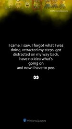 IMG_1033.jpeg