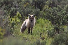 IMG_5747.jpeg