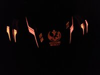 20230823_210125.jpg
