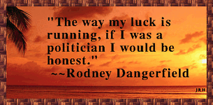 RodnetDangerfield-05.gif