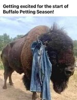 IMG_1037.jpeg