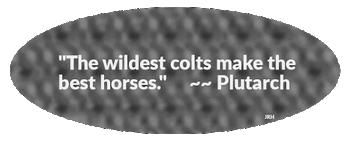 Plutarch-05.gif