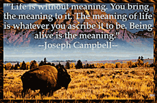 JosephCampbell-05.gif
