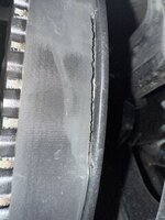 IMG_2232.jpeg