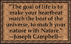 JosephCampbell-06.gif