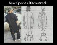 evolution-sagging-pants-716210.jpeg
