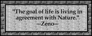 Zeno-03.gif