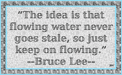 BruceLee-05.gif