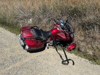 IMG_2559.jpeg