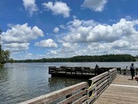 IMG_2028.jpg