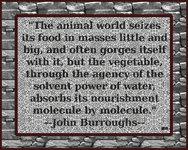 JohnBurroughs-07.gif