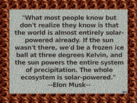 ElonMusk-04.gif
