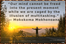 MokokomaMokhonoan-02.gif
