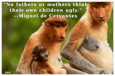 MegueldeCervantes-03.gif