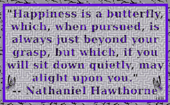 NathanielHawthorn-03.gif
