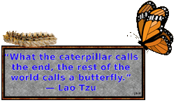 LaoTzu-09.gif